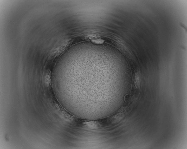X0000103460417200809191816