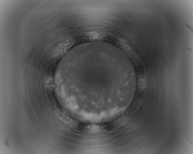X0000103460419200809191816