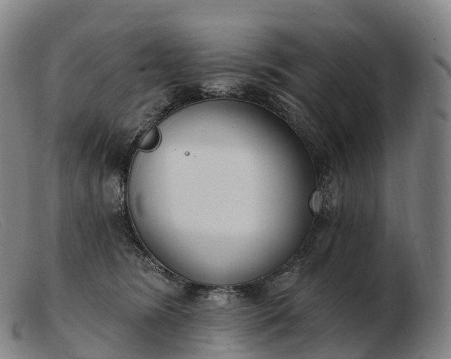 X0000103460420200809191816