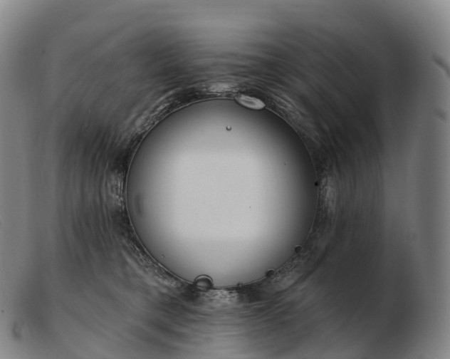 X0000103460421200809191816