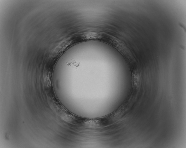 X0000103460422200809191816