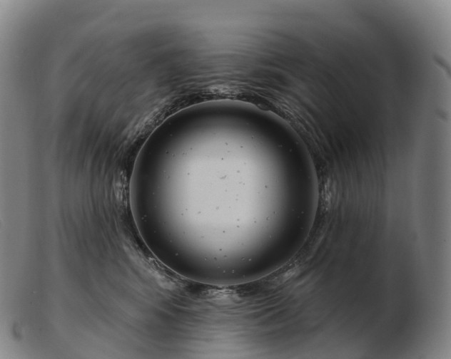 X0000103460424200809191816