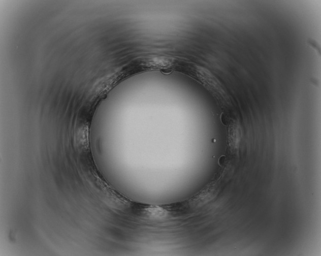 X0000103460425200809191816