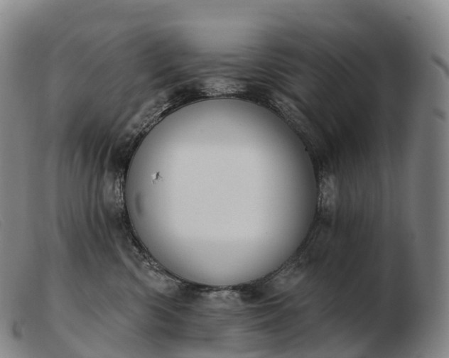 X0000103460426200809191816