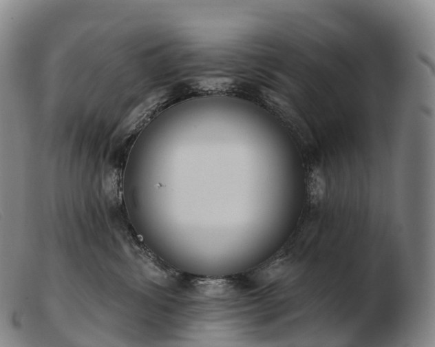 X0000103460428200809191816