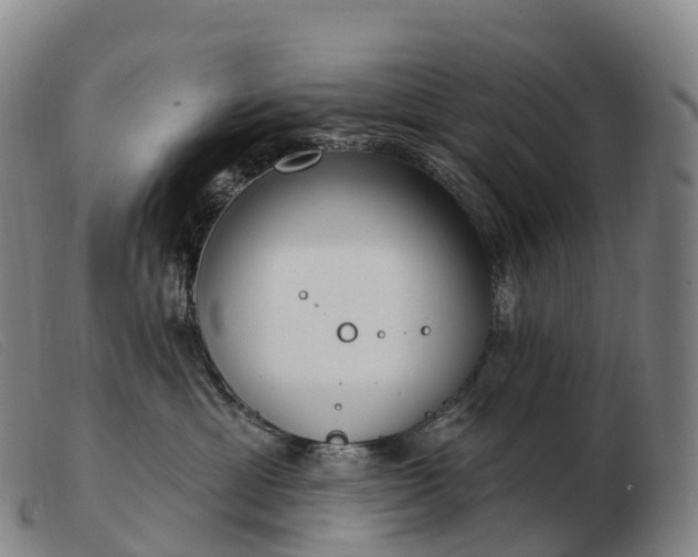 X0000103460429200809191816