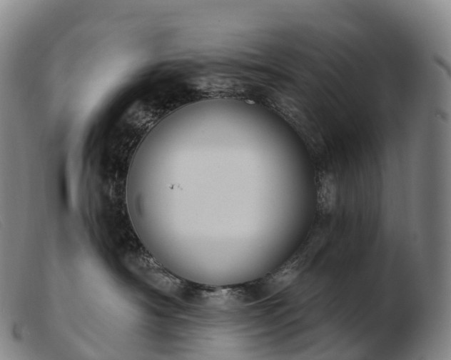 X0000103460430200809191816