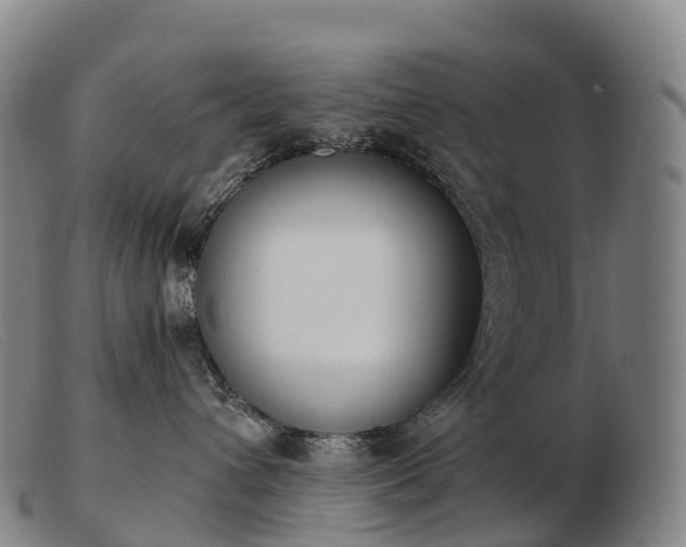 X0000103460432200809191816