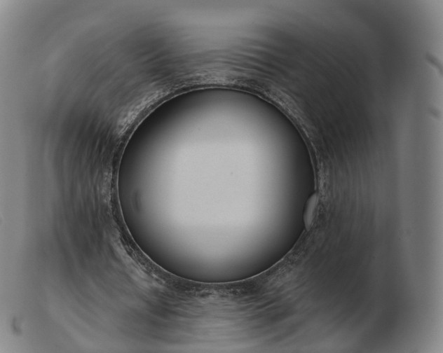 X0000103460434200809191815