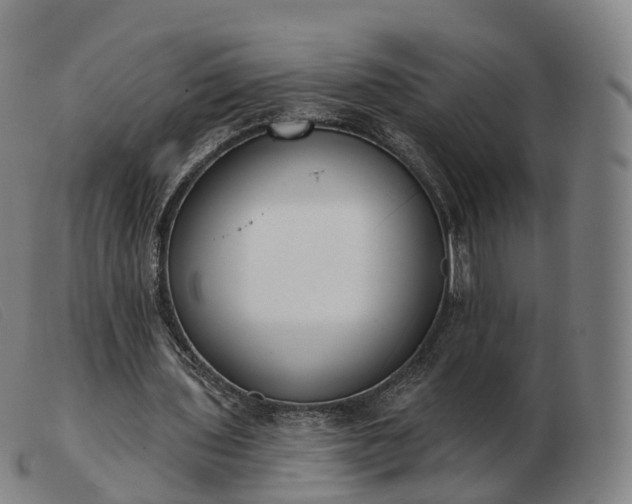 X0000103460435200809191815