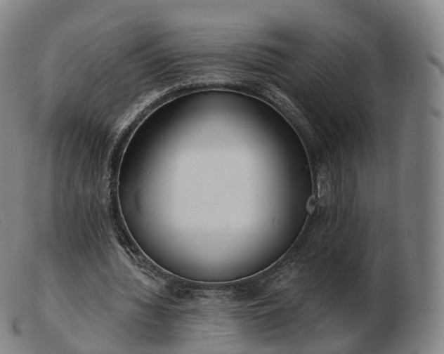 X0000103460436200809191815