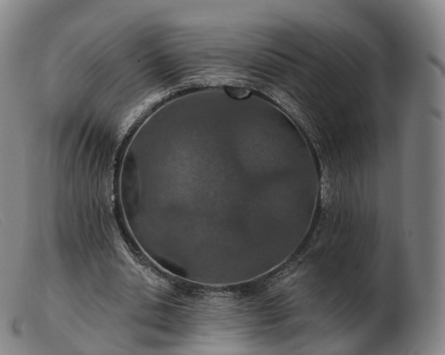 X0000103460438200809191815