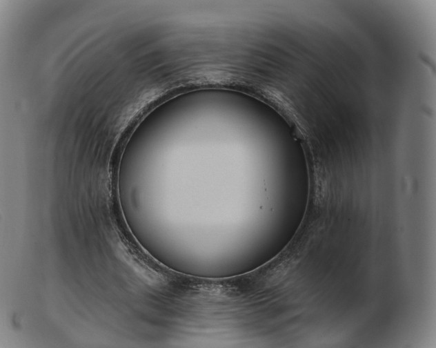 X0000103460439200809191815
