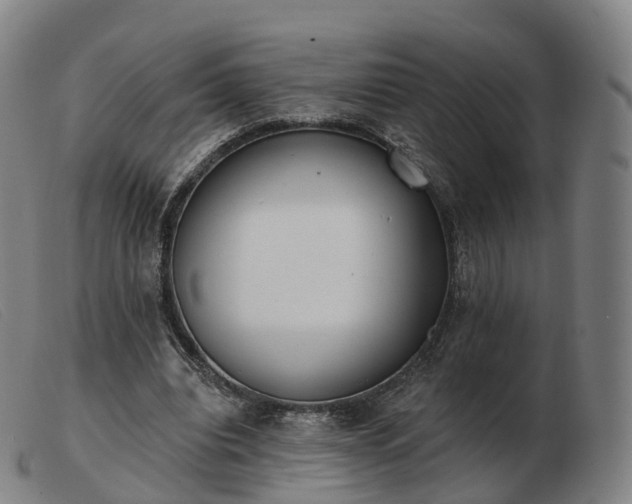X0000103460440200809191815