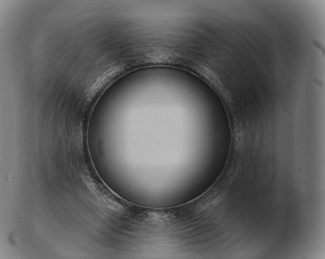 X0000103460442200809191815