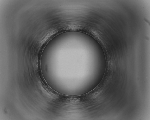 X0000103460443200809191815