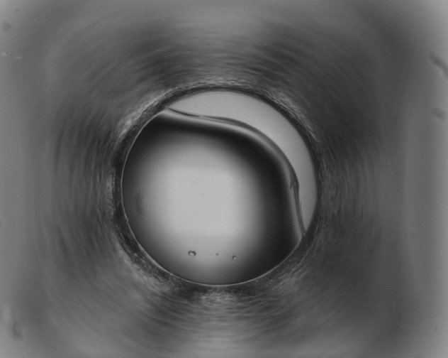 X0000103460444200809191815