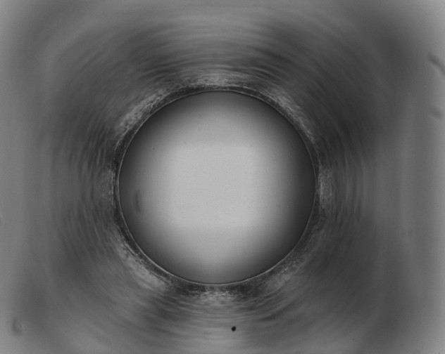 X0000103460445200809191815