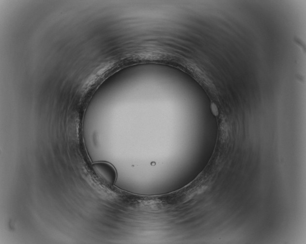 X0000103460446200809191815