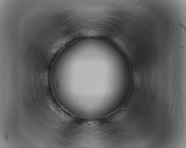 X0000103460447200809191815