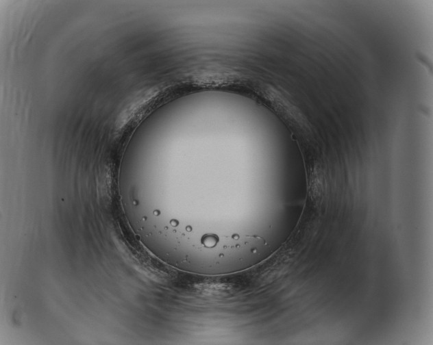 X0000103460448200809191815