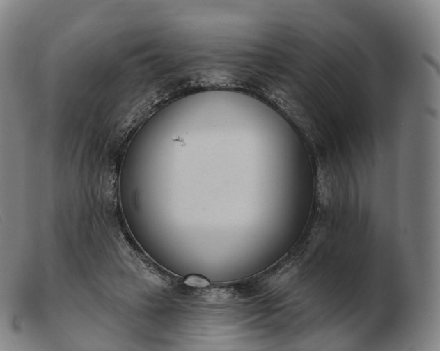 X0000103460449200809191815