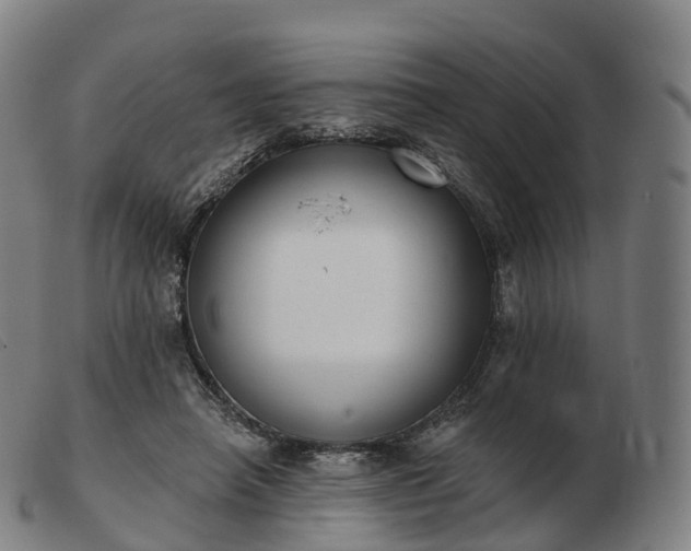 X0000103460450200809191815