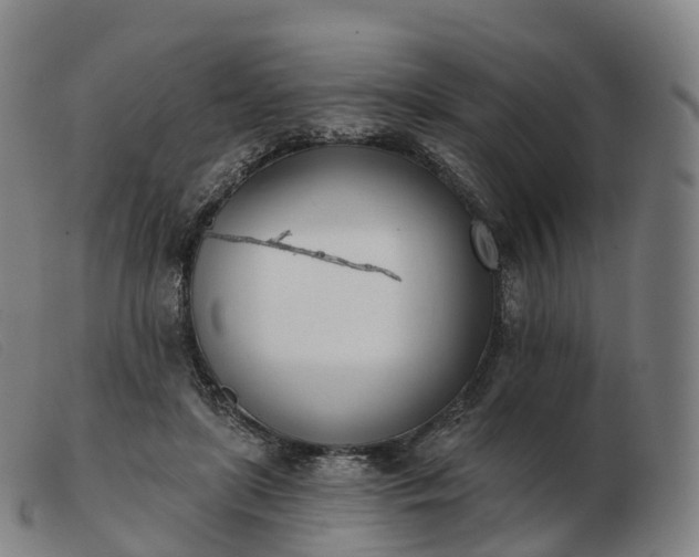 X0000103460451200809191815