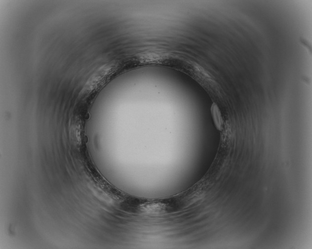 X0000103460452200809191815