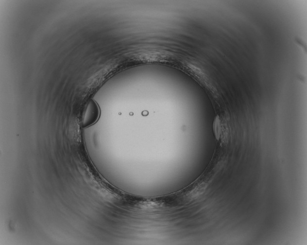 X0000103460453200809191815