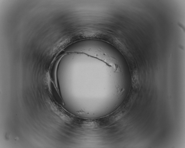 X0000103460454200809191816