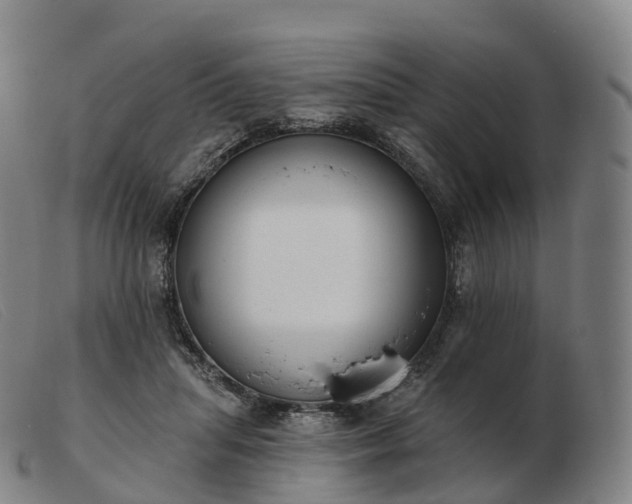 X0000103460455200809191816
