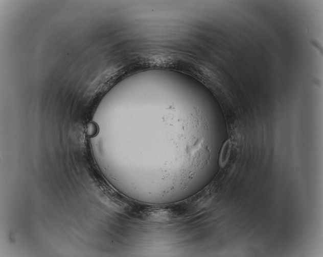 X0000103460456200809191816