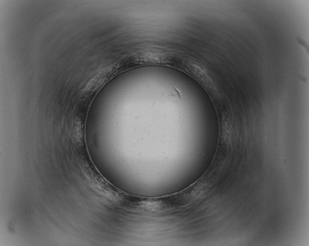 X0000103460457200809191816