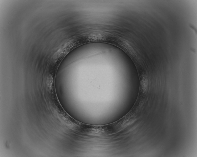 X0000103460458200809191816