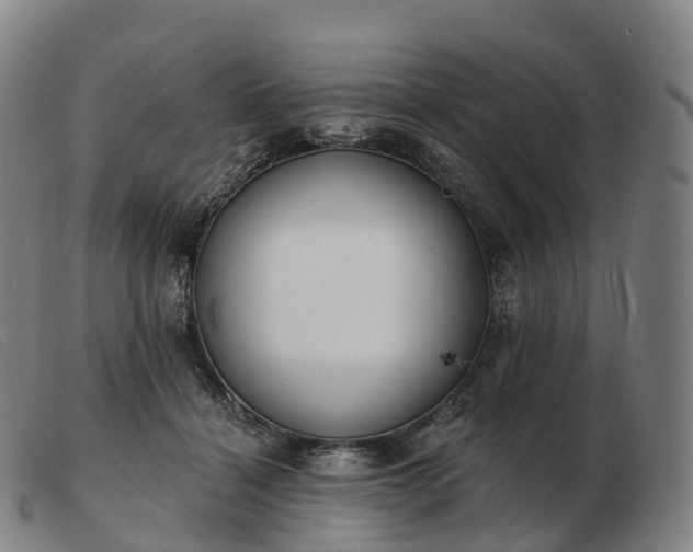 X0000103460460200809191816
