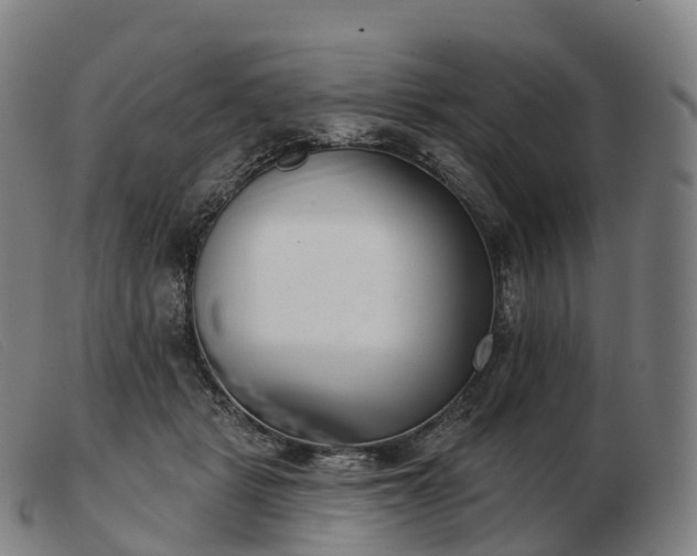 X0000103460461200809191816