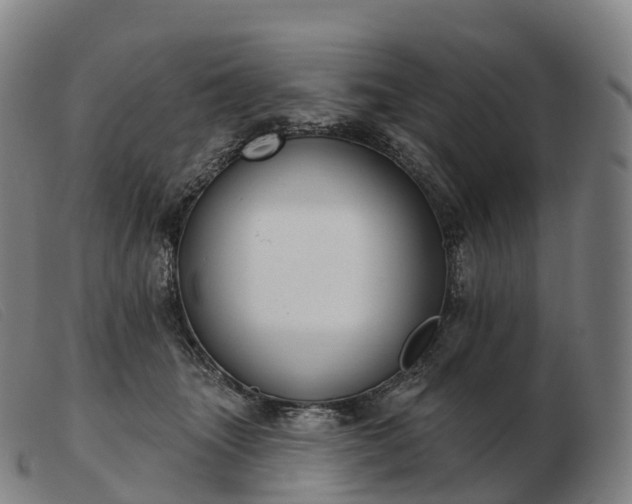 X0000103460463200809191816