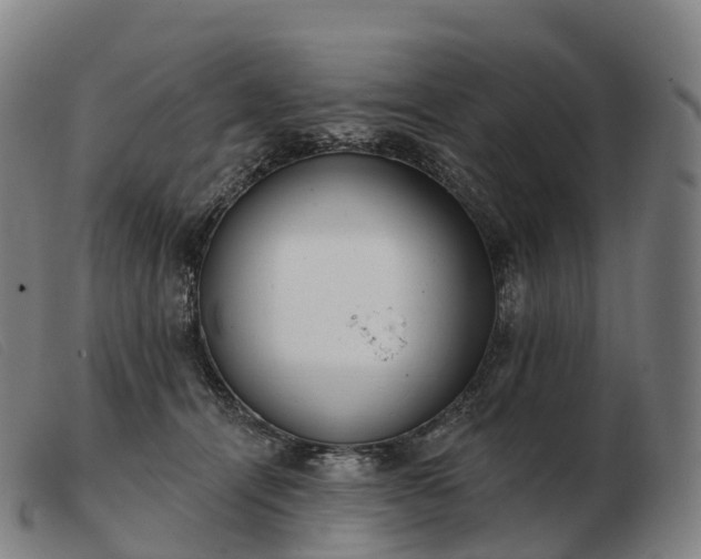 X0000103460464200809191816