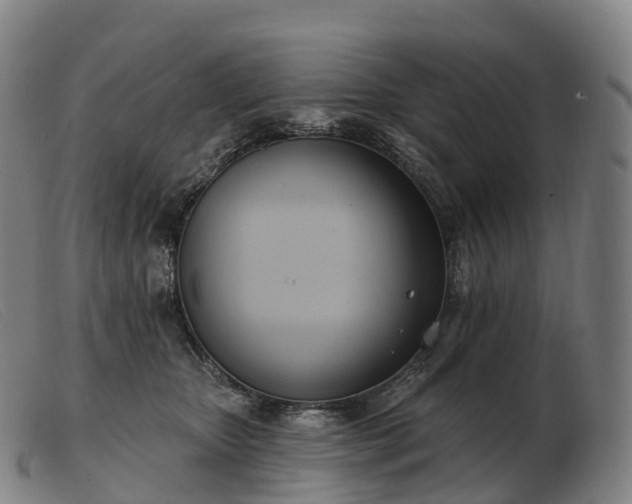 X0000103460467200809191816
