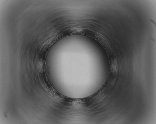 X0000103460468200809191816