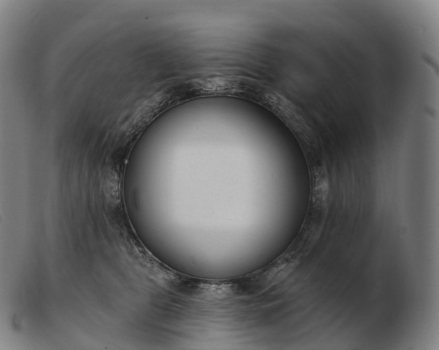 X0000103460469200809191816