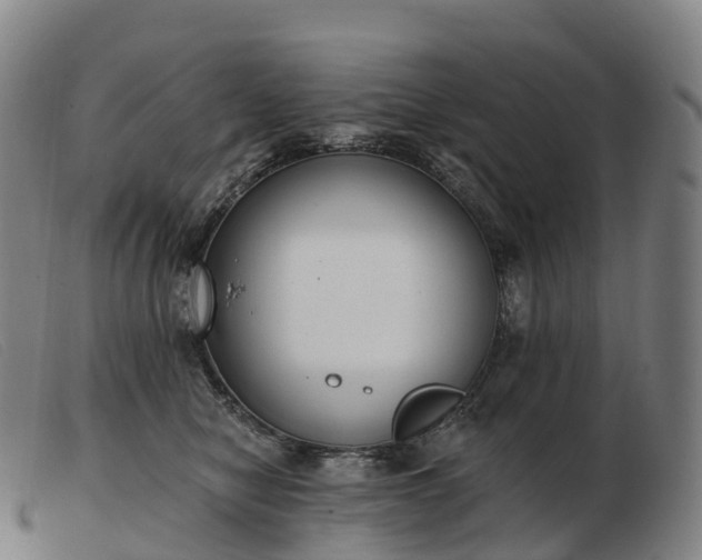X0000103460470200809191816