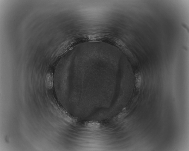 X0000103460471200809191816