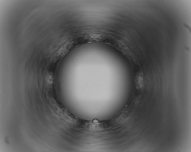 X0000103460472200809191816