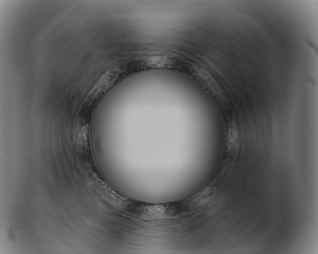 X0000103460473200809191816