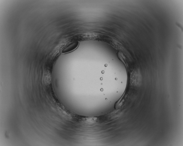 X0000103460474200809191816