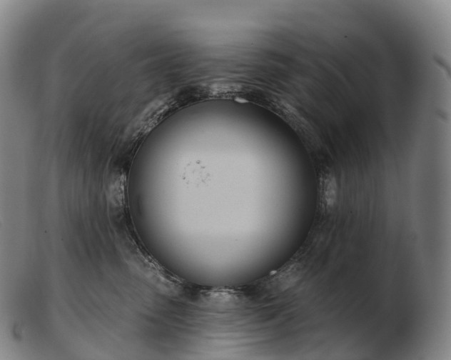 X0000103460475200809191816