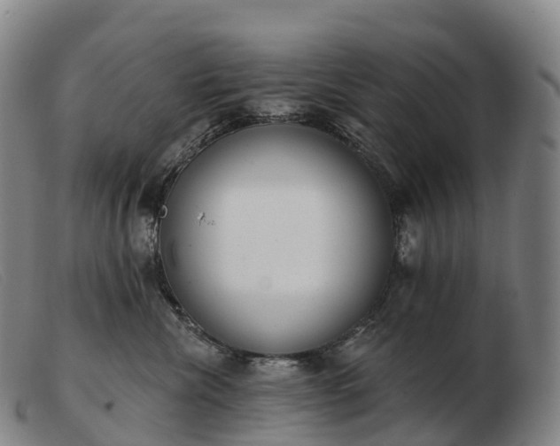 X0000103460476200809191816