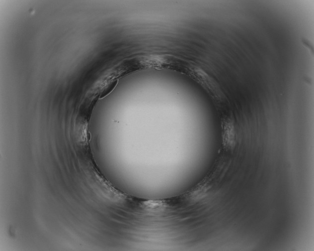 X0000103460477200809191816